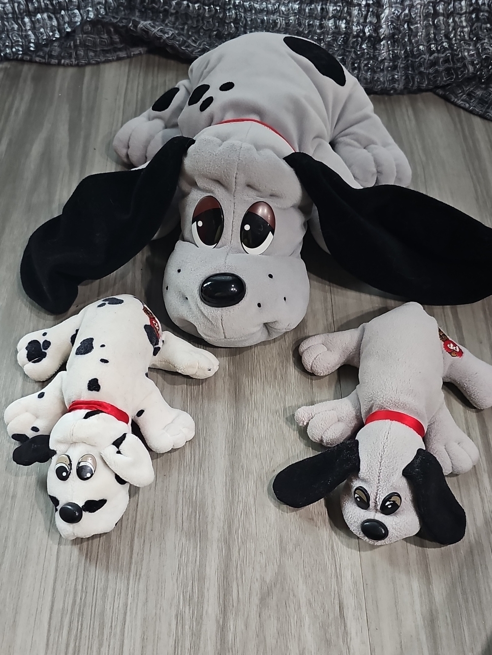 Pound Puppies